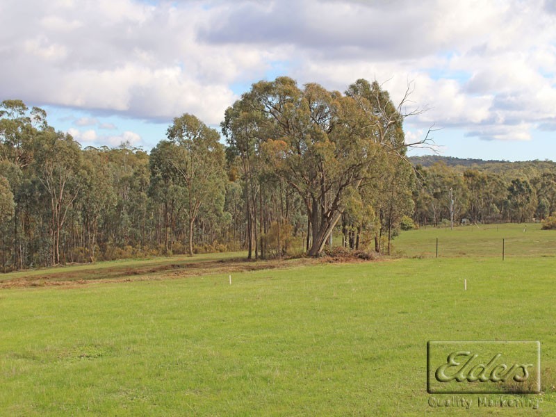 Lot 4 Queen Street, Mandurang South VIC 3551