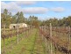 Lot 1 and 2 McLachlans Lane, Lockwood VIC 3551