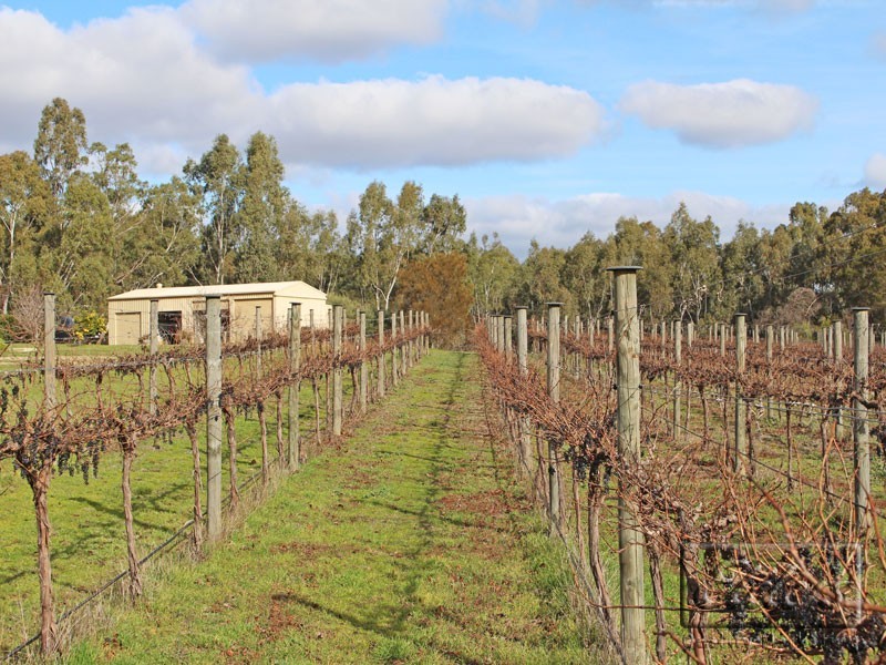 Lot 1 and 2 McLachlans Lane, Lockwood VIC 3551