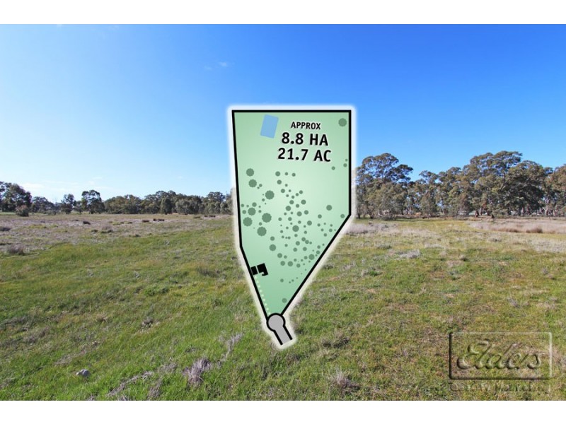 46 Gerber Court, Bagshot VIC 3551