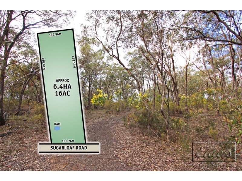 309 Sugarloaf Road, Axedale VIC 3551