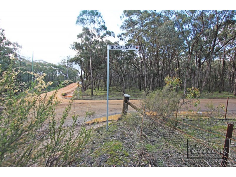 309 Sugarloaf Road, Axedale VIC 3551