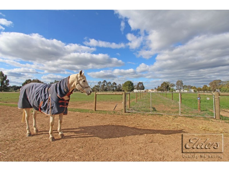 323 Old Murray Road, Huntly VIC 3551