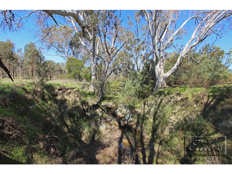 107 Smiths Lane, Sutton Grange VIC 3448