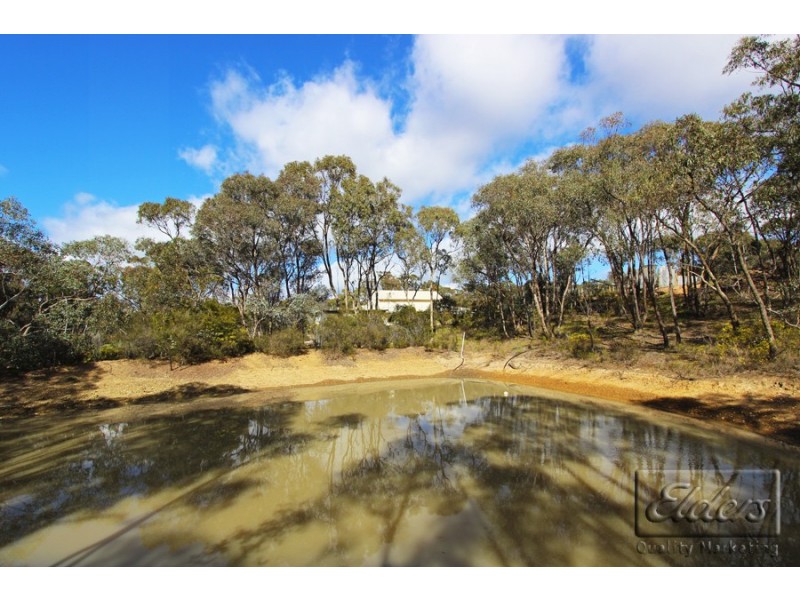 110 O’Halloran Drive, Mandurang South VIC 3551