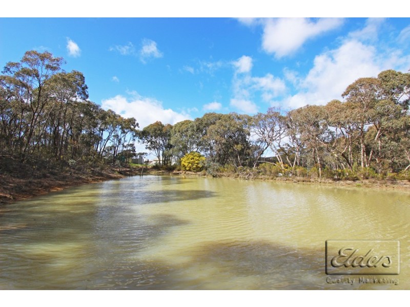 110 O’Halloran Drive, Mandurang South VIC 3551