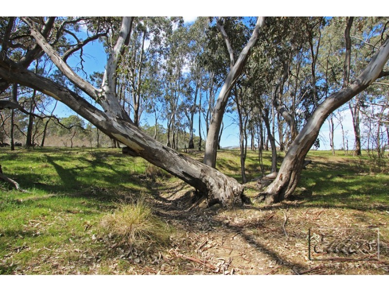 13 Northwood Court, Axedale VIC 3551