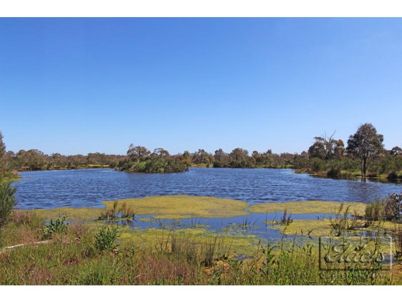 1 Cnr of McIvor Highway and Hodges Lane, Longlea VIC 3551
