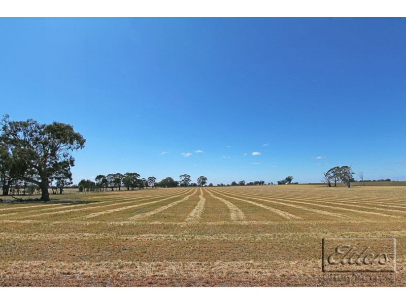 215 Goornong-May Reef Road, Goornong VIC 3557
