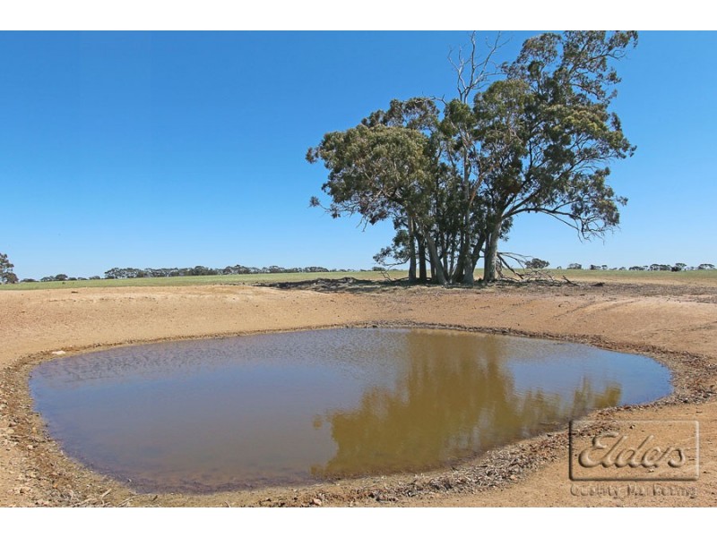 215 Goornong-May Reef Road, Goornong VIC 3557