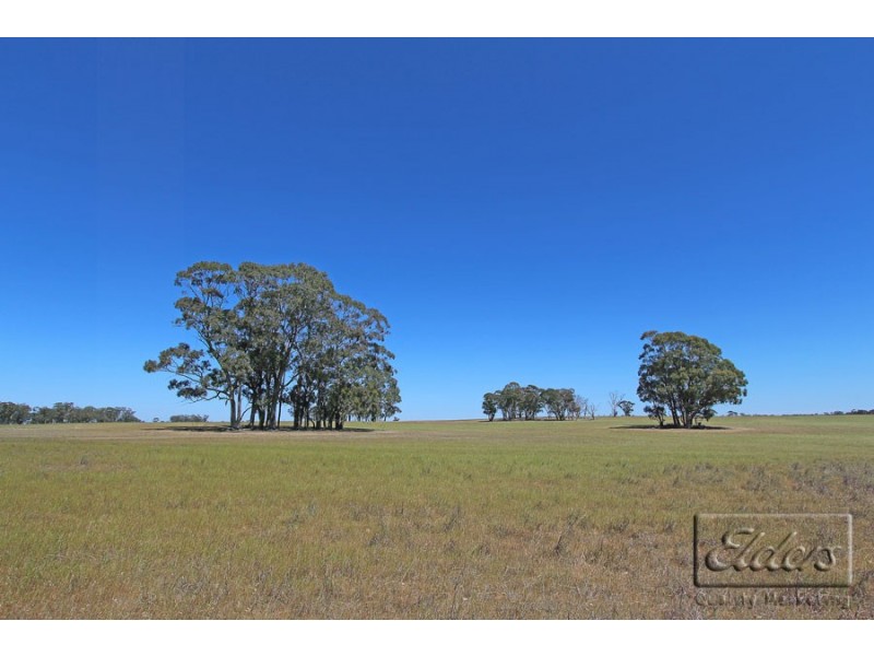 215 Goornong-May Reef Road, Goornong VIC 3557