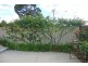 356 Napier Street, Bendigo VIC 3550