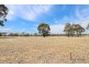 Havelock VIC 3465