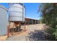 11 Rodgers Road, Dingee VIC 3571