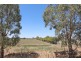 11 Rodgers Road, Dingee VIC 3571