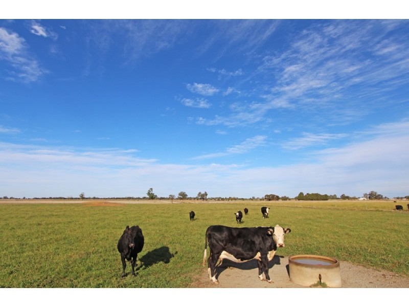 232 Dingee-Settlement Road, Dingee VIC 3571