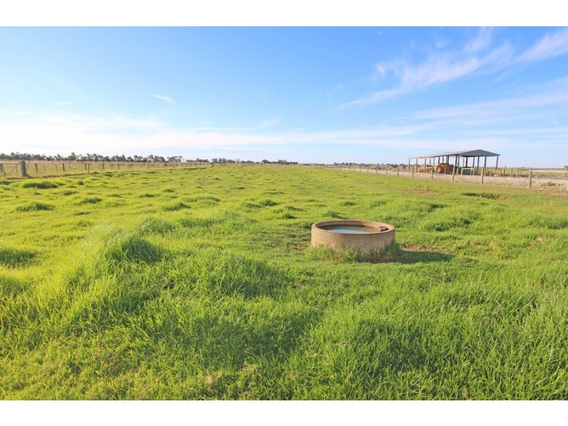 232 Dingee-Settlement Road, Dingee VIC 3571