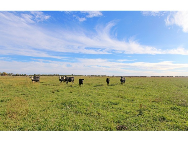 232 Dingee-Settlement Road, Dingee VIC 3571