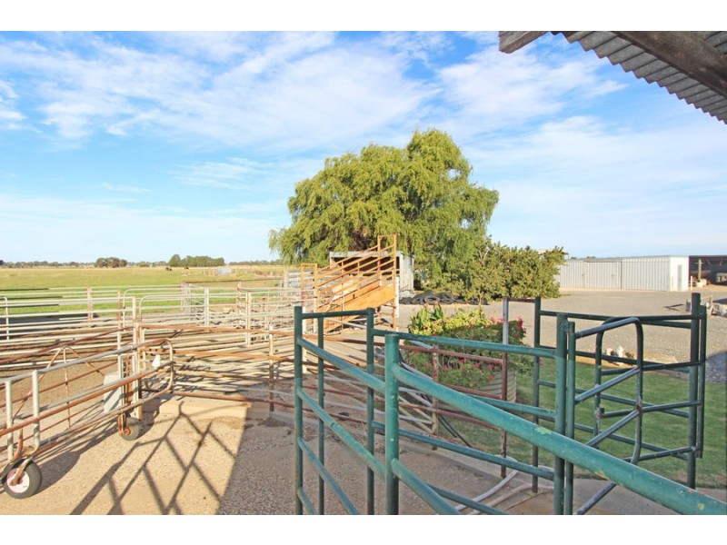 232 Dingee-Settlement Road, Dingee VIC 3571