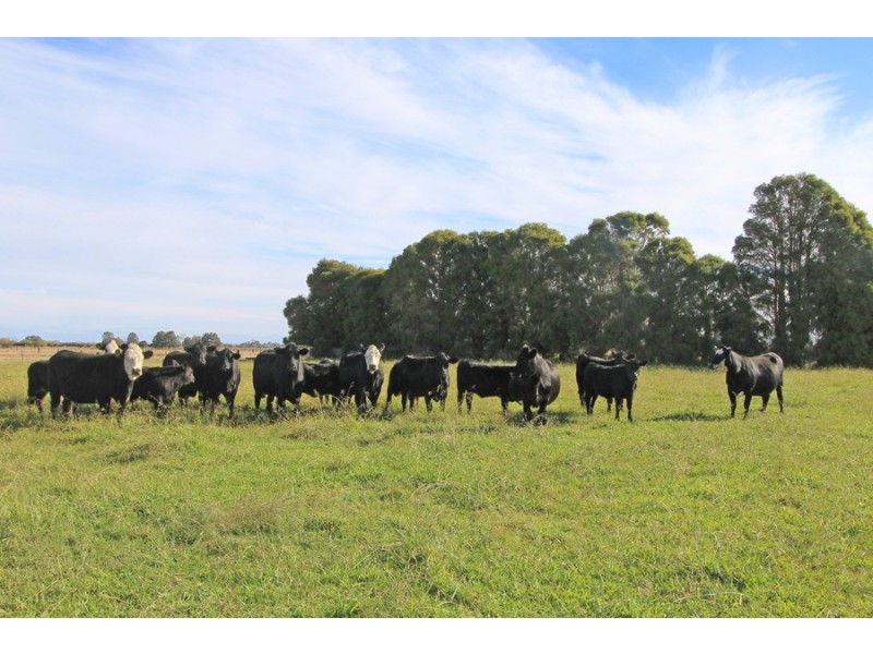 232 Dingee-Settlement Road, Dingee VIC 3571