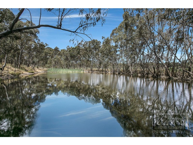 129 Wiegards Road, Lockwood VIC 3551