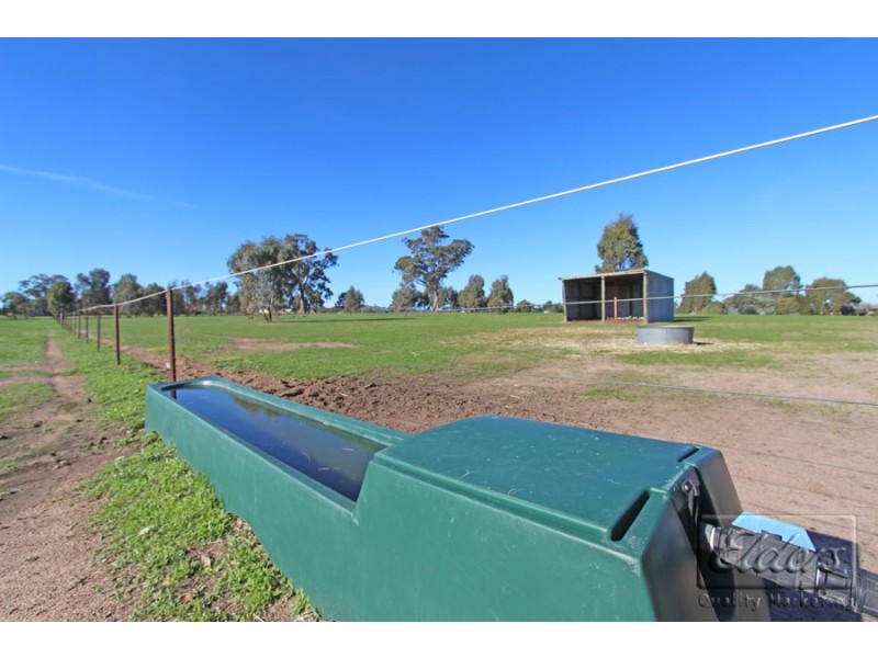 57 Wild Cherry Road, Lockwood South VIC 3551