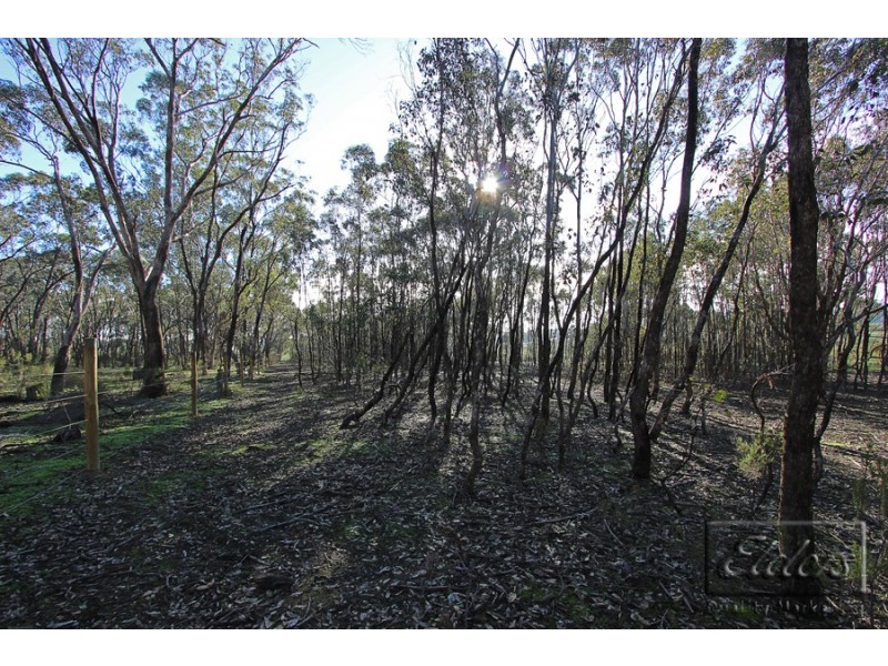 36 George Terrace, Axe Creek VIC 3551