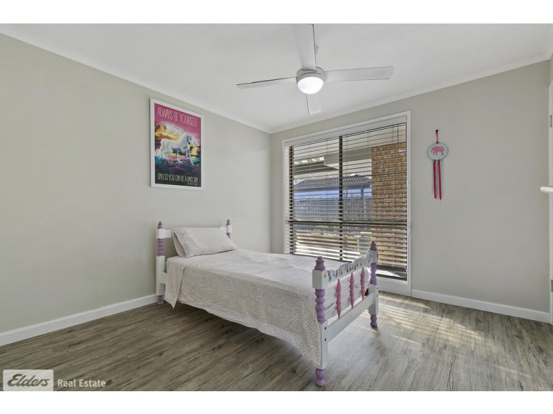 8 Newport Drive, Newport QLD 4020