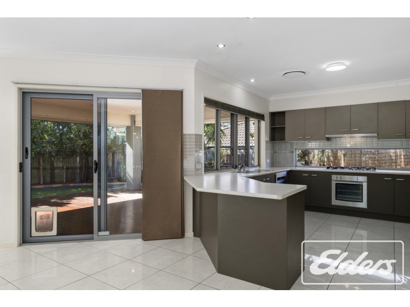 7 ASHBROOK DRIVE, Morayfield QLD 4506