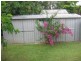 17 Springdale Street, Rothwell QLD 4022