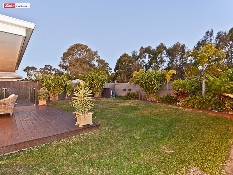 51 Lionheart Crescent, Newport QLD 4020