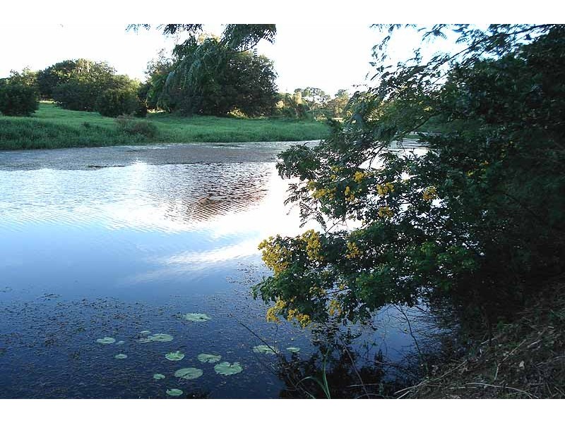 36 Xanadu Drive, Bellmere QLD 4510