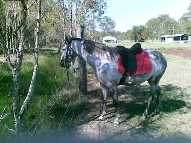 202 Old Bay Road, Deception Bay QLD 4508