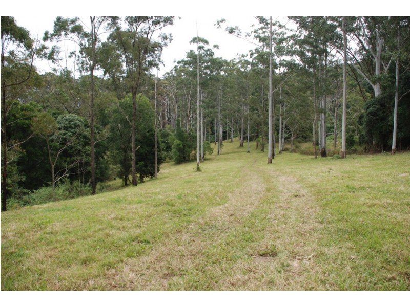 4358 Kyogle Road, Lillian Rock NSW 2480