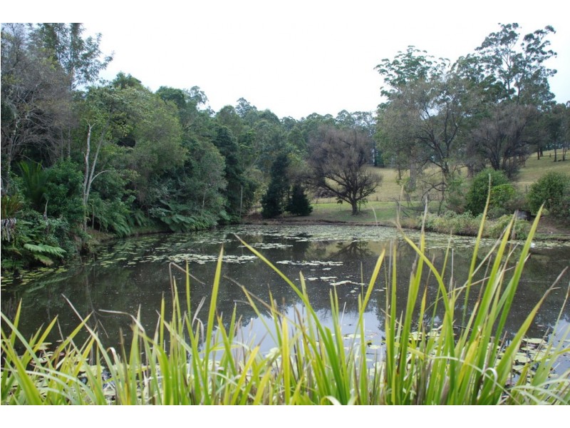 4358 Kyogle Road, Lillian Rock NSW 2480