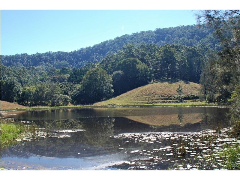 Murwillumbah NSW 2484