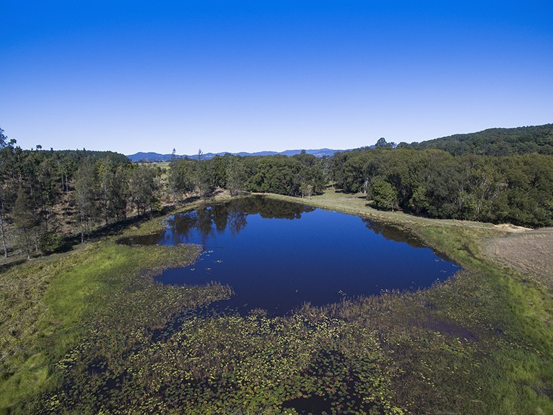 Murwillumbah NSW 2484