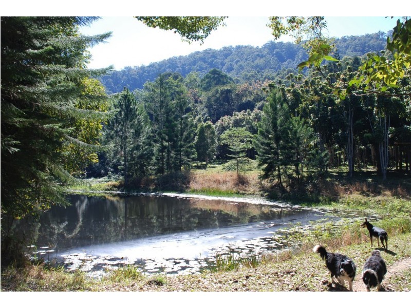 Murwillumbah NSW 2484