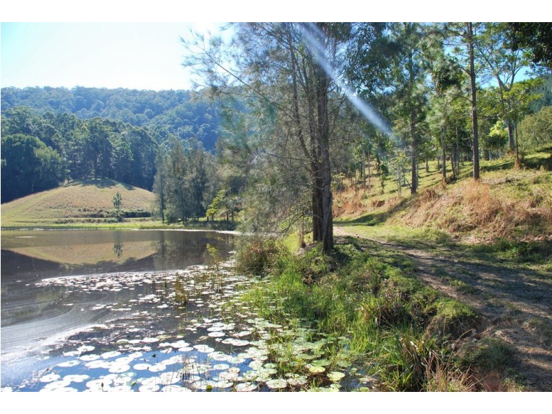 Murwillumbah NSW 2484