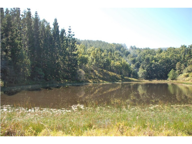 Murwillumbah NSW 2484