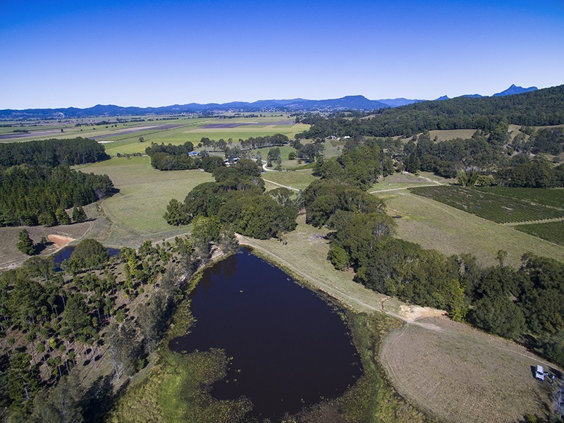 Murwillumbah NSW 2484