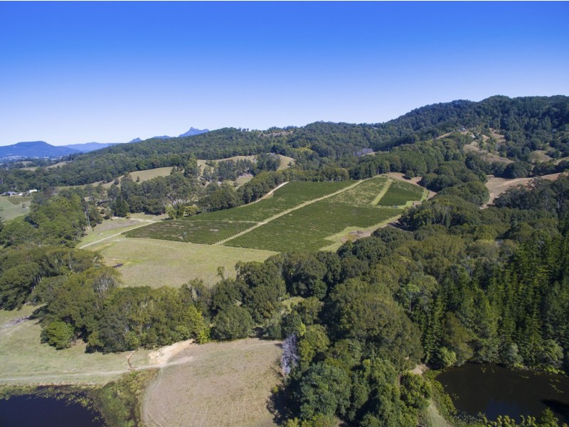 Murwillumbah NSW 2484