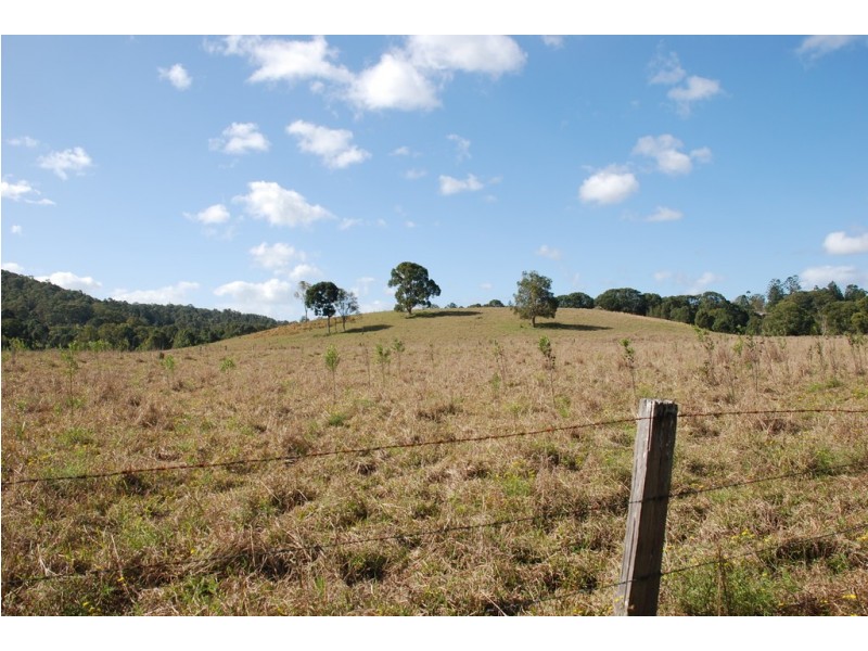 Fernvale NSW 2484