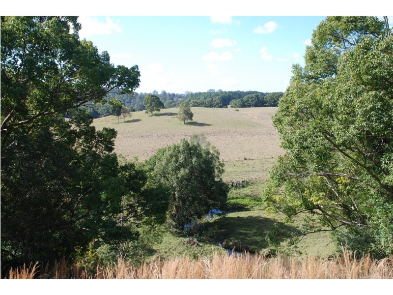Fernvale NSW 2484