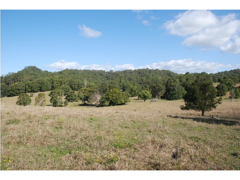 Fernvale NSW 2484