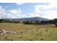 Fernvale NSW 2484