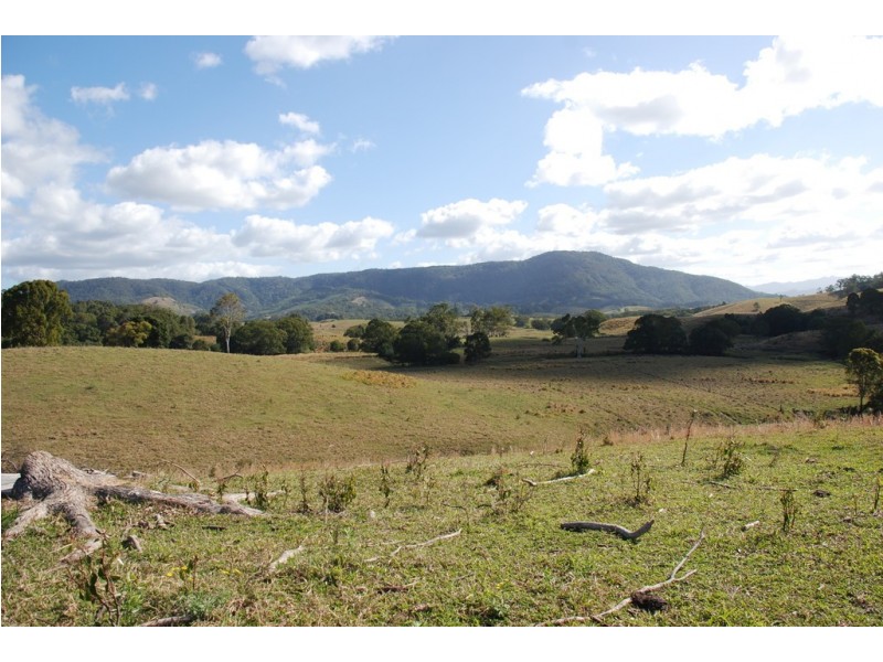 Fernvale NSW 2484