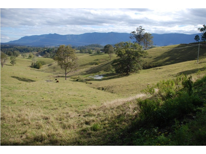 Tyalgum NSW 2484