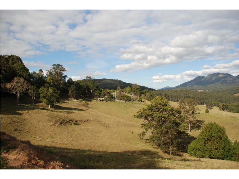 Tyalgum NSW 2484