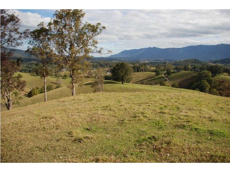 Tyalgum NSW 2484